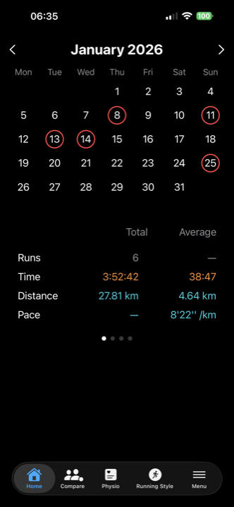 Calendar view of runs